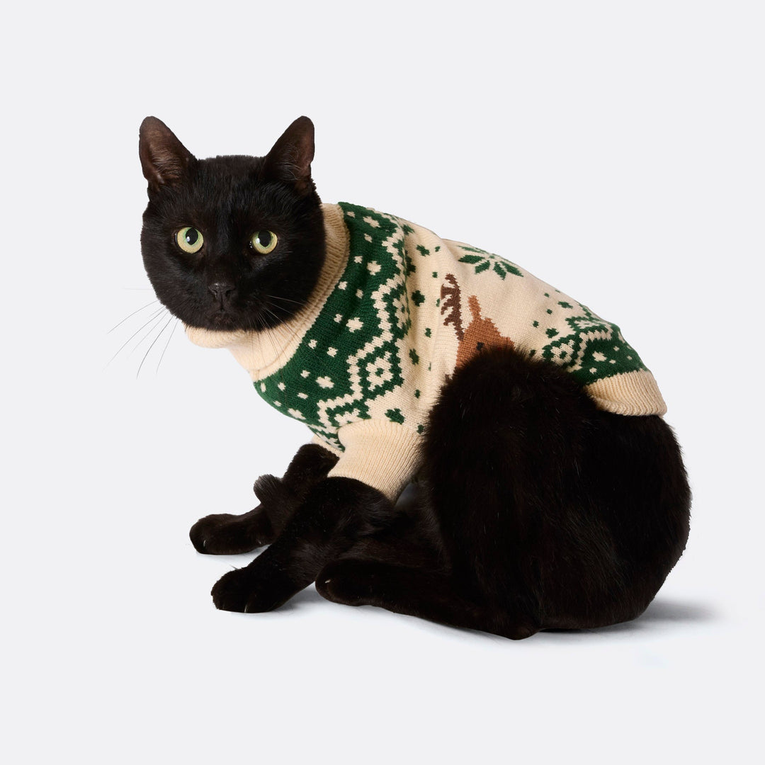 Groene Retro Rendier Kersttrui voor Katten
