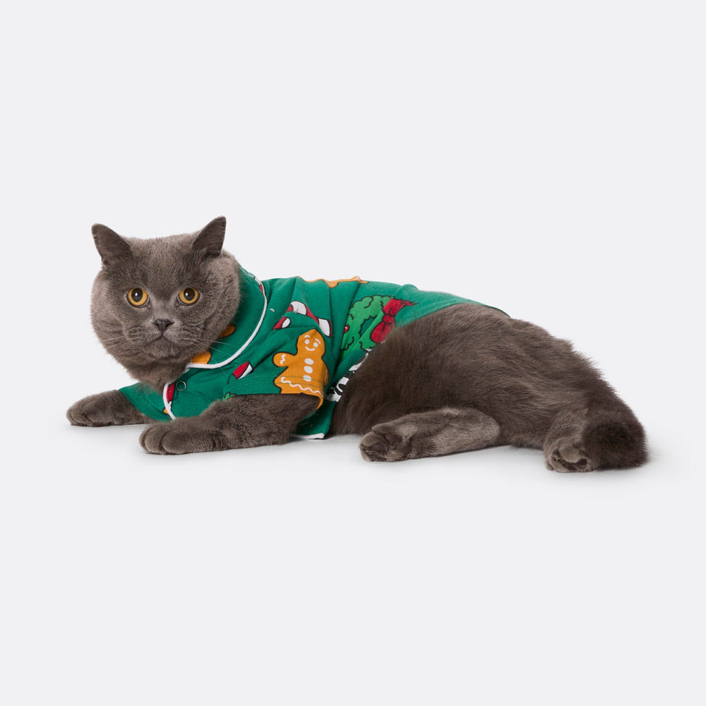 Groene Hohoho Kerstpyjama voor Katten