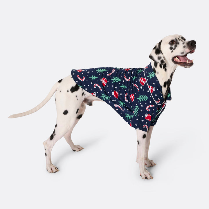 Blauwe Kerstpatroon Kerstpyjama voor Honden