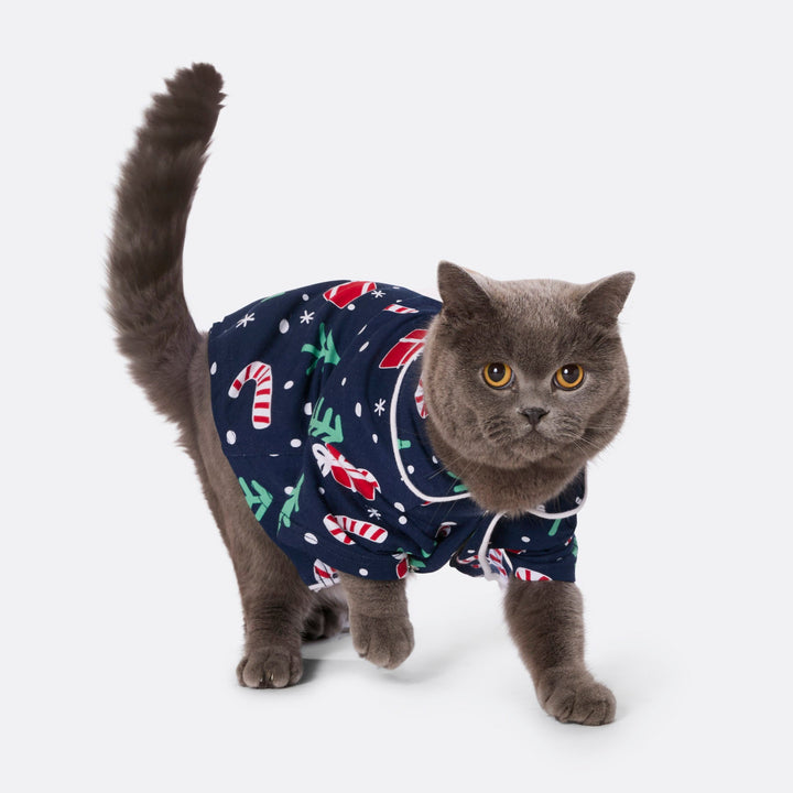 Blauwe Kerstpatroon Kerstpyjama voor Katten