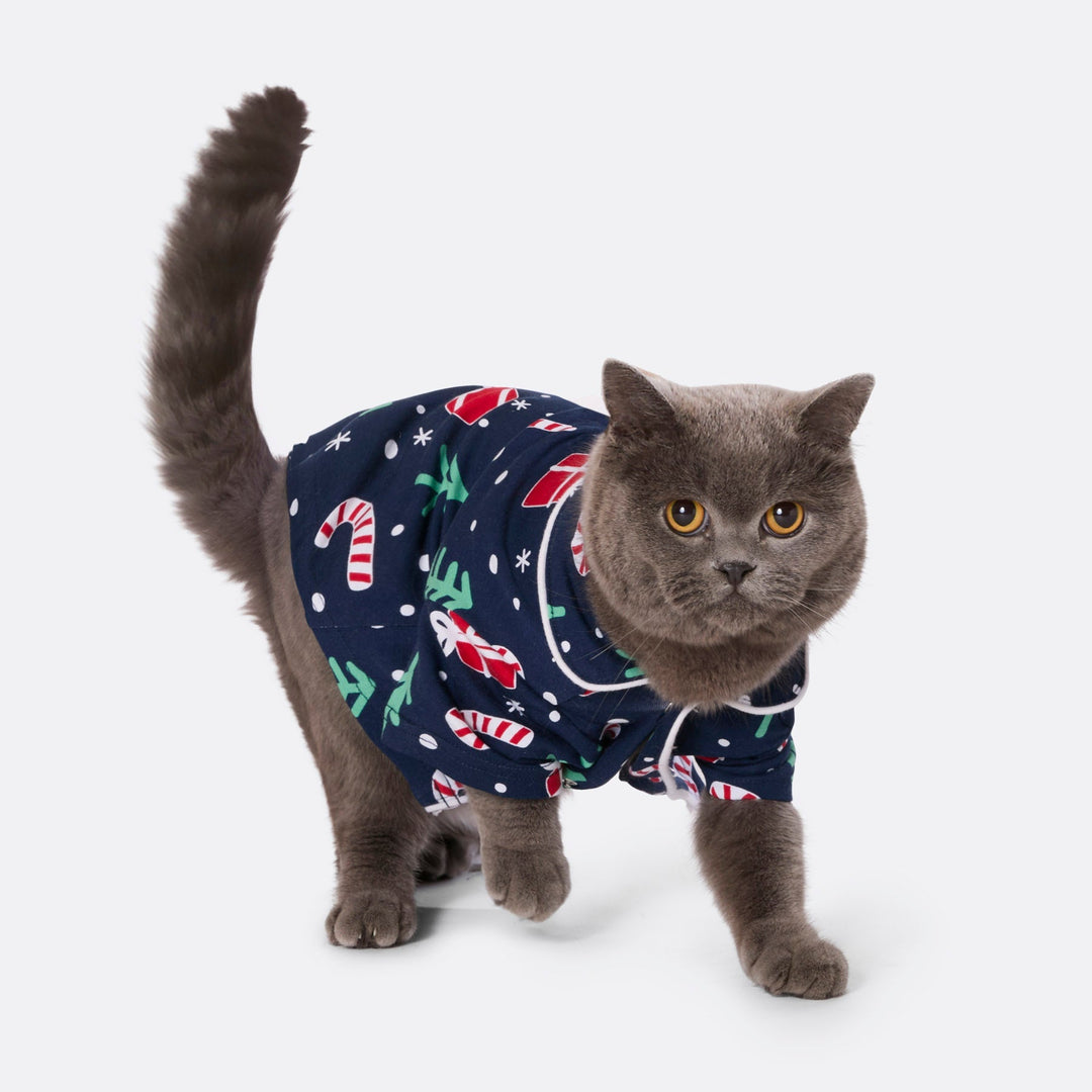 Matchende Kerstpyjama's voor Gezin - Blauwe Kerstpatroon