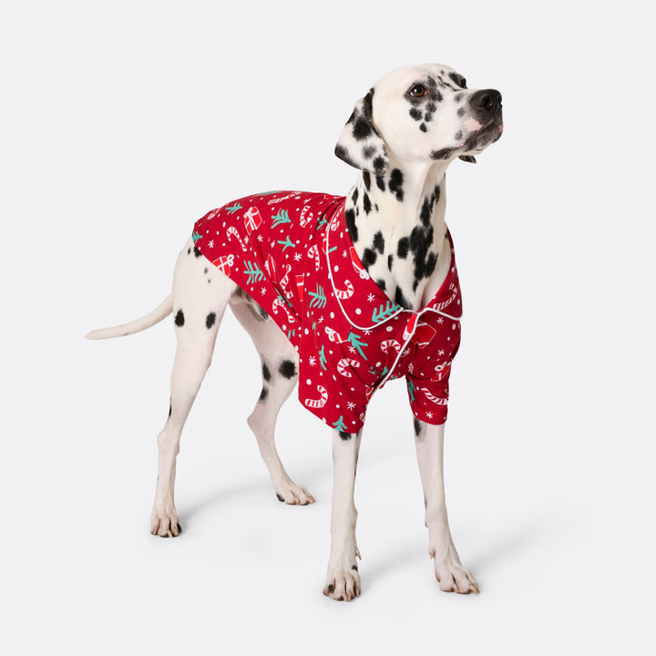 Rode Kerstpatroon Kerstpyjama voor Honden