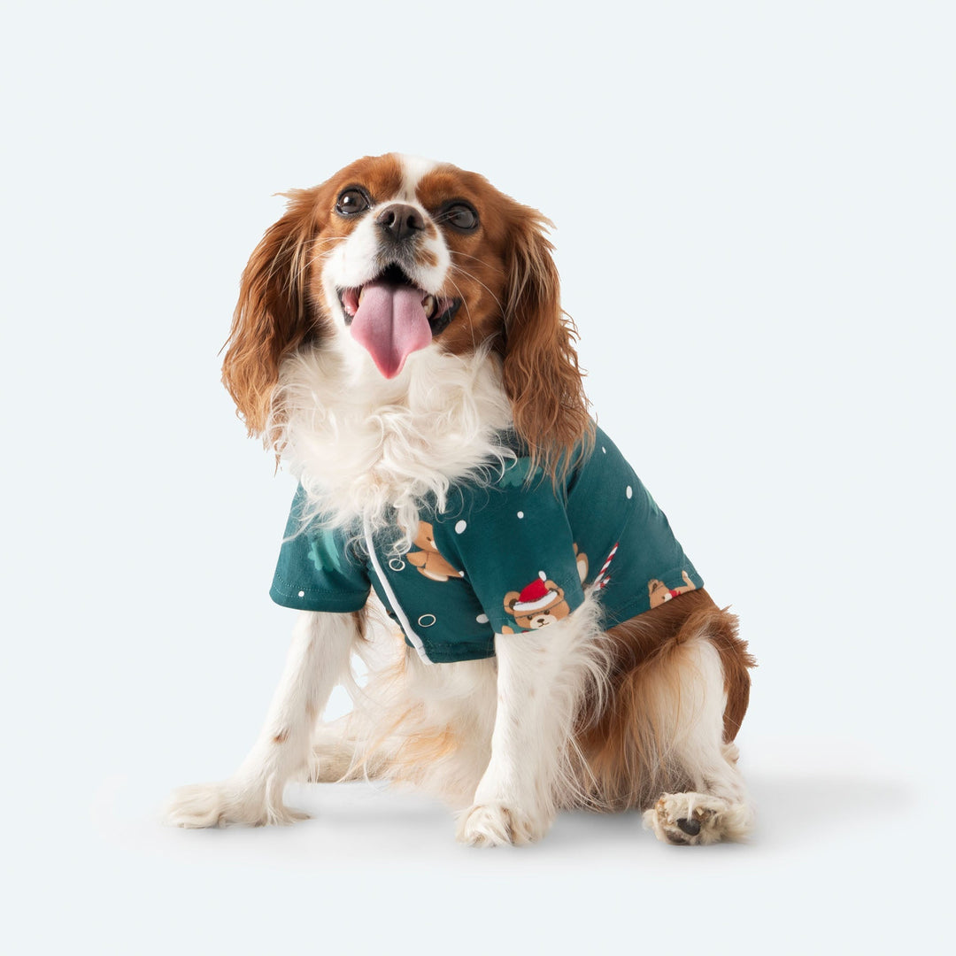 Groene Teddybeer Kerstpyjama voor Honden