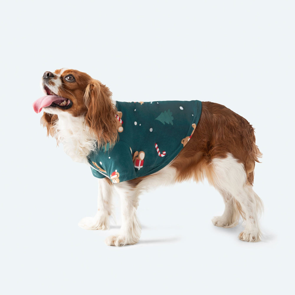Groene Teddybeer Kerstpyjama voor Honden