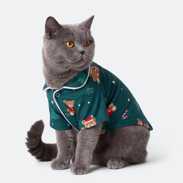 Groene Teddybeer Kerstpyjama voor Katten