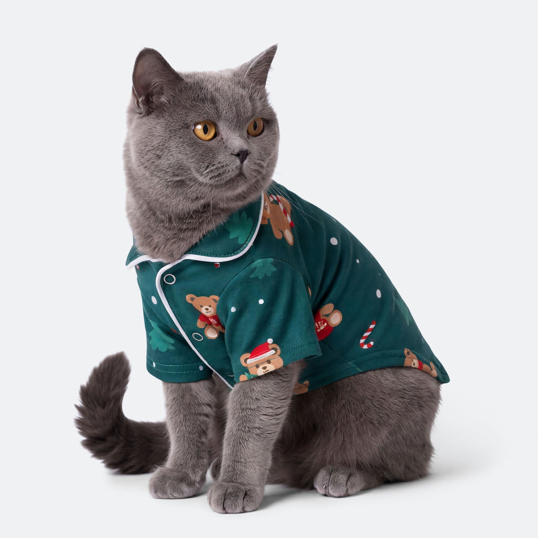 Groene Teddybeer Kerstpyjama voor Katten
