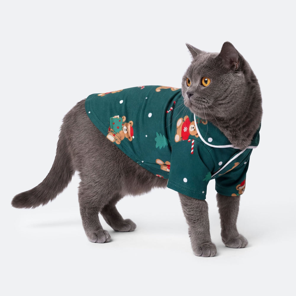 Groene Teddybeer Kerstpyjama voor Katten