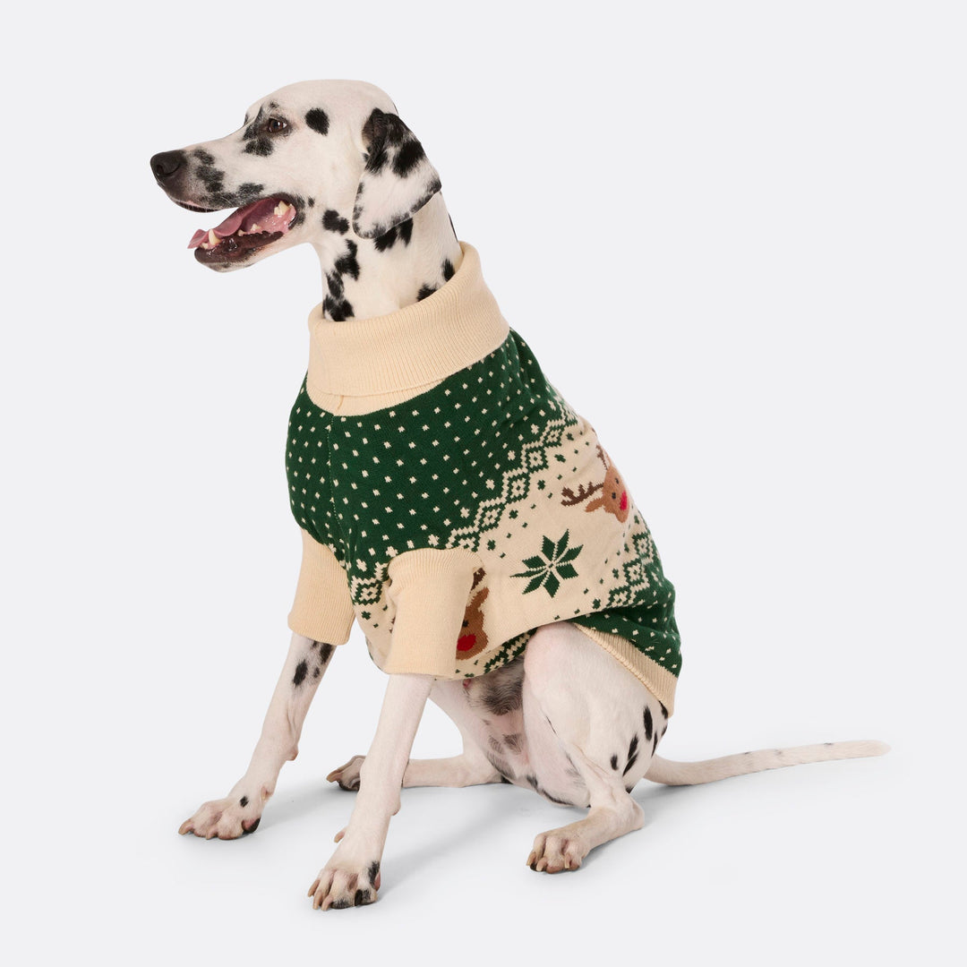 Groene Retro Rendier Kersttrui voor Honden