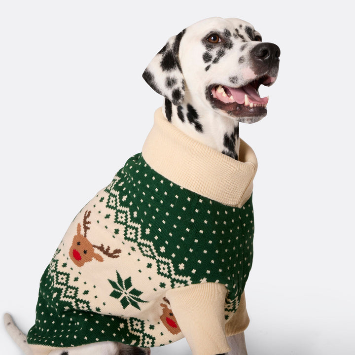 Groene Retro Rendier Kersttrui voor Honden