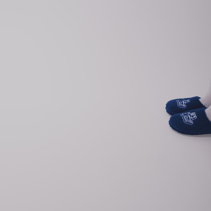 NAV_SLIP-DAD