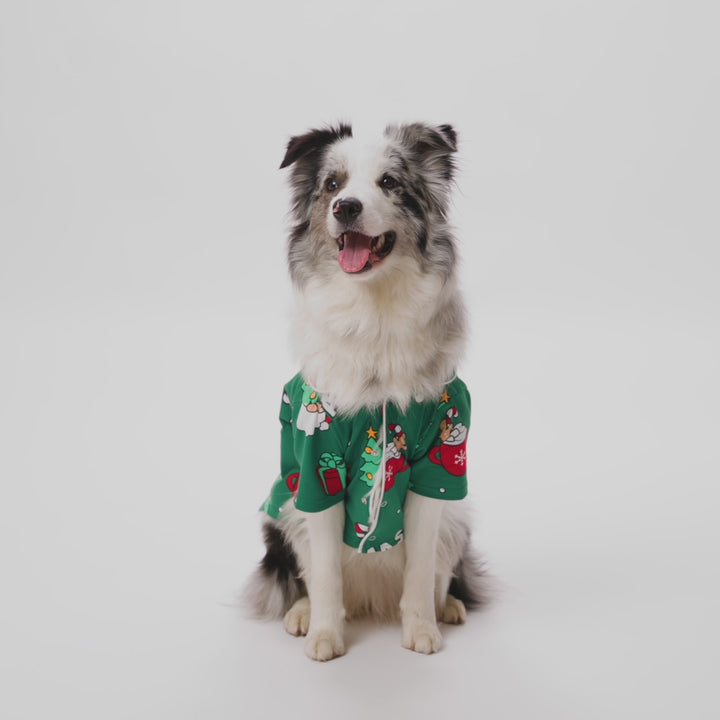 GR2_MERRY-GR-Dogs