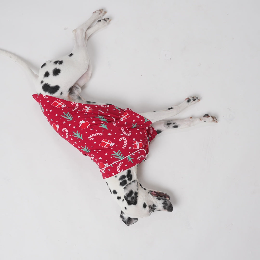 Rode Kerstpatroon Kerstpyjama voor Honden