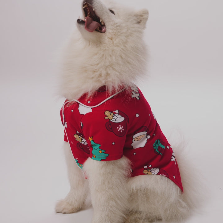 RE_MERRY-RE-Dogs