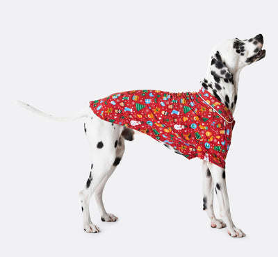 Kerstdroom Rood Pyjama Voor Honden