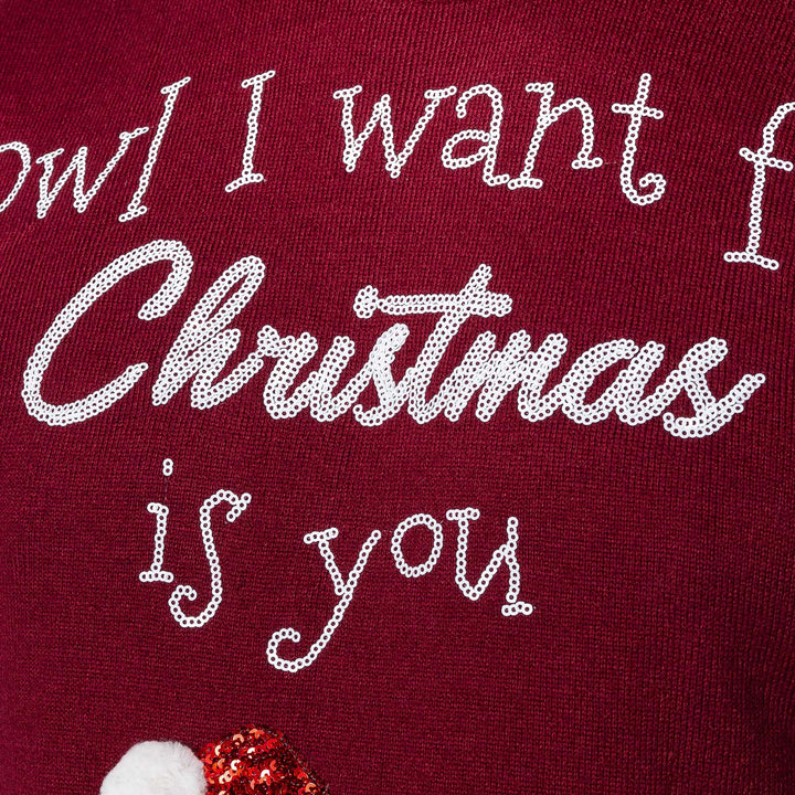 Owl I Want For Christmas Kersttrui Dames